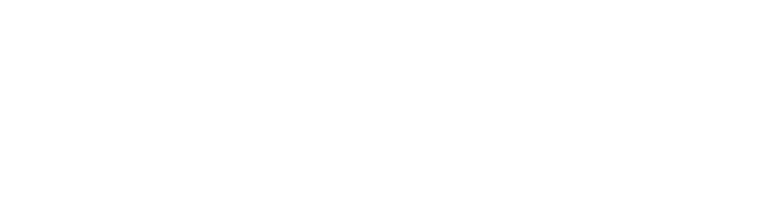 dentsply-dirona-white